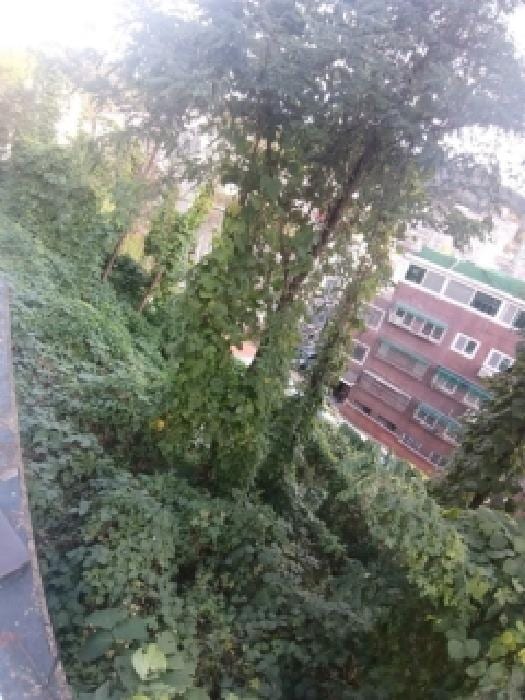 현장 사진 5
