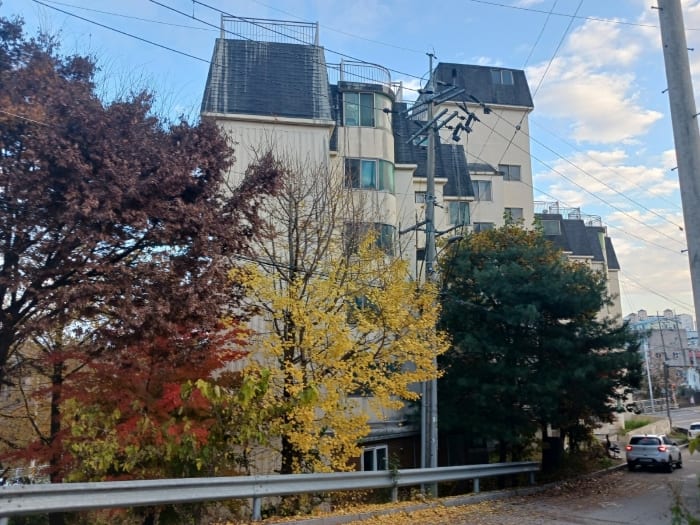 현장 사진 6