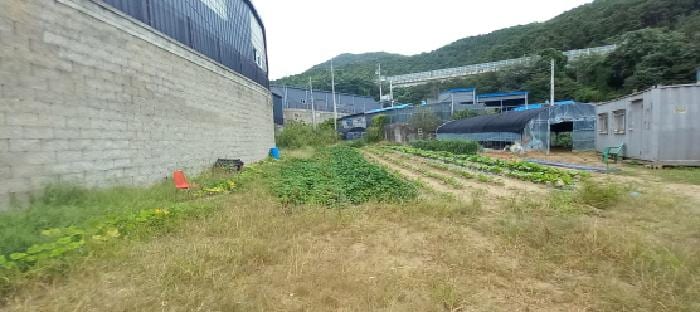현장 사진 6