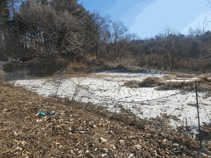 현장 사진 4