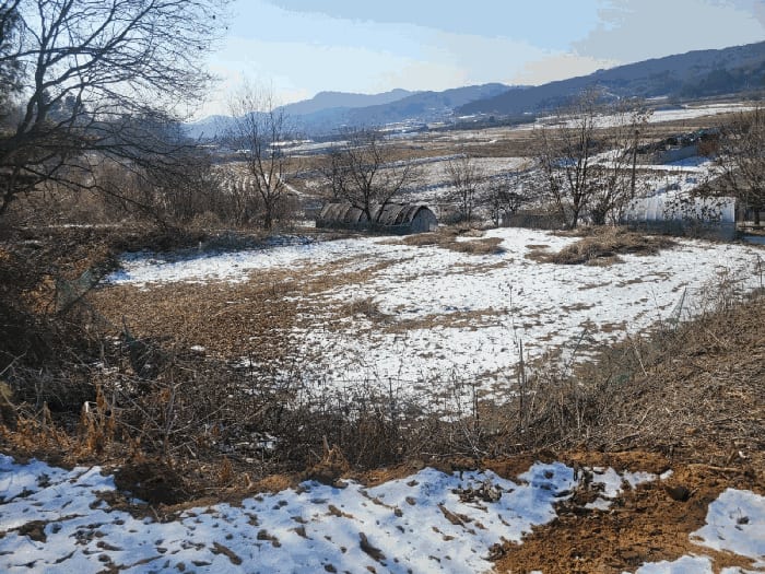 현장 사진 5
