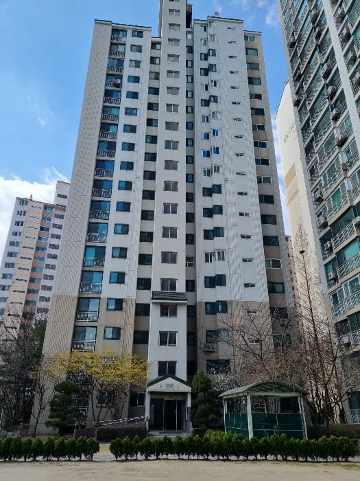 현장 사진 6