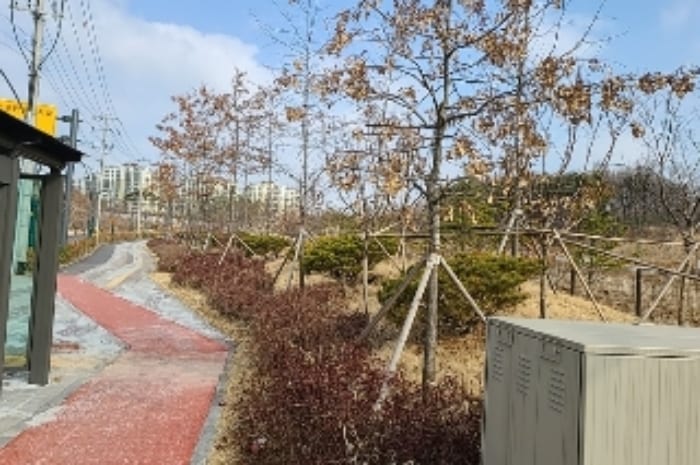현장 사진 6