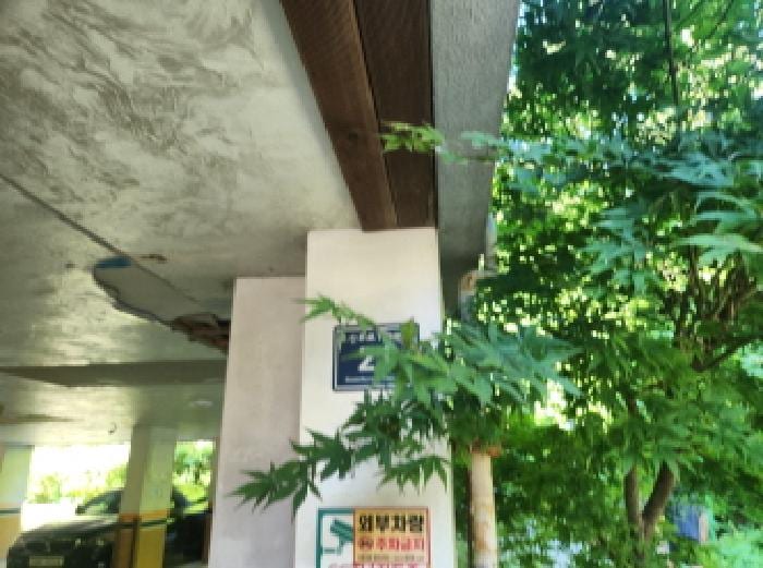 현장 사진 1