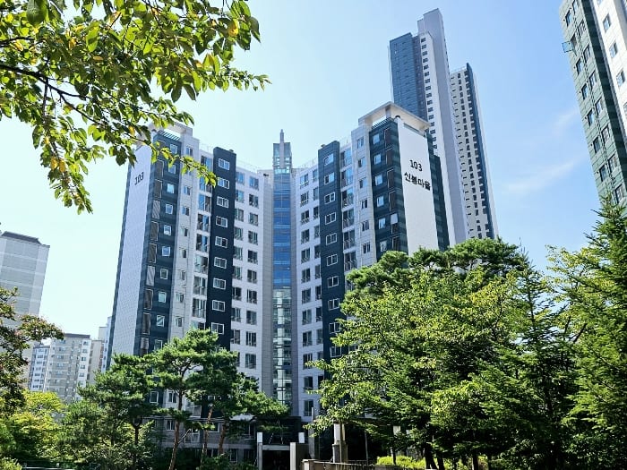 현장 사진 6
