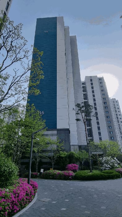 현장 사진 5