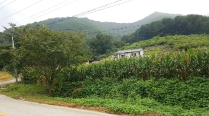 현장 사진 1