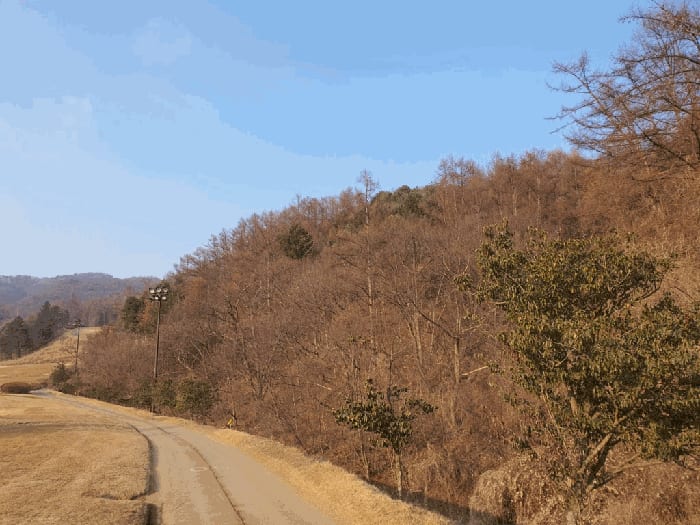 현장 사진 4