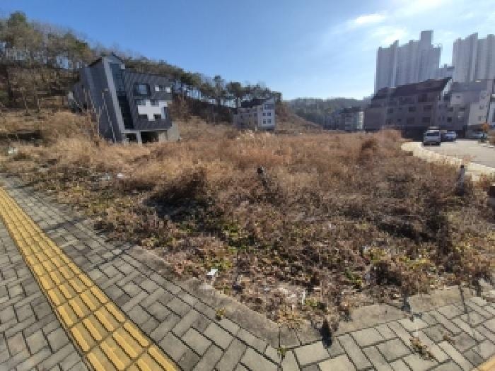 현장 사진 2