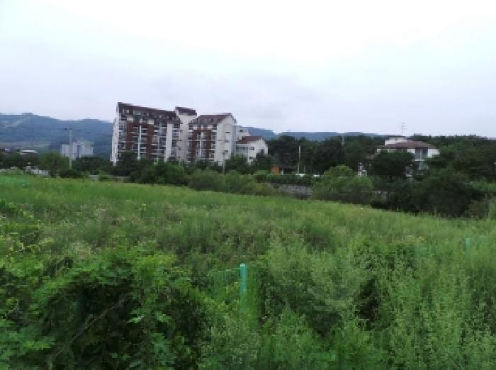 현장 사진 4