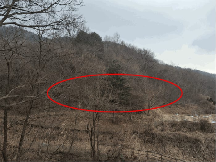 현장 사진 3