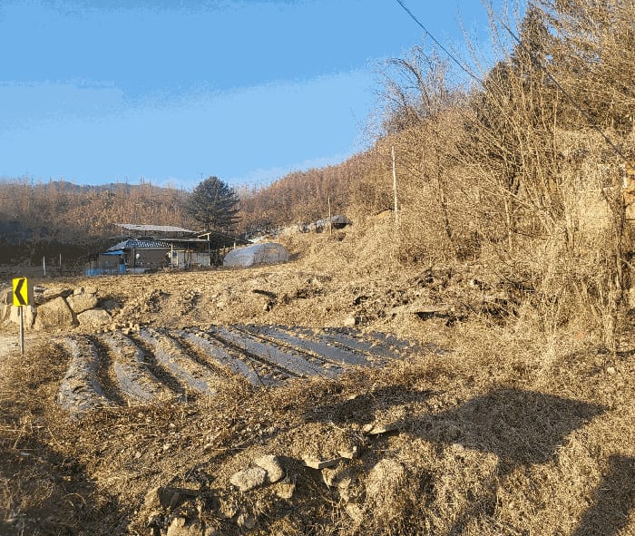 현장 사진 5