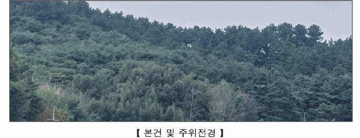 현장 사진 5