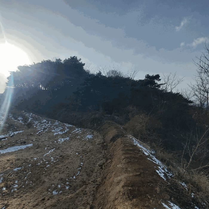현장 사진 3