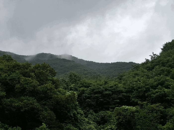 현장 사진 5