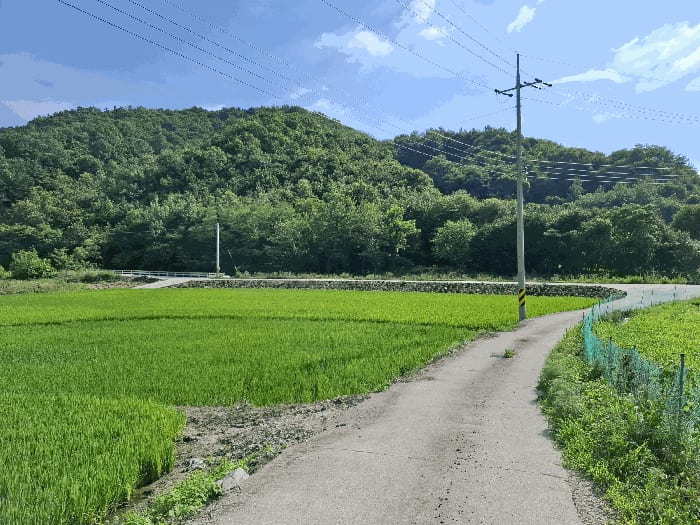 현장 사진 5