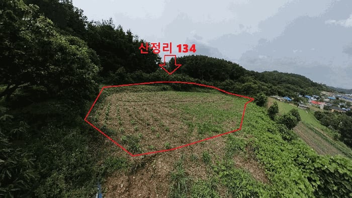 현장 사진 3
