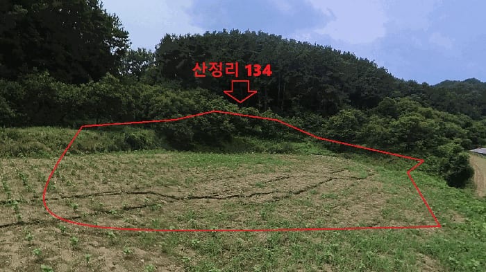 현장 사진 4