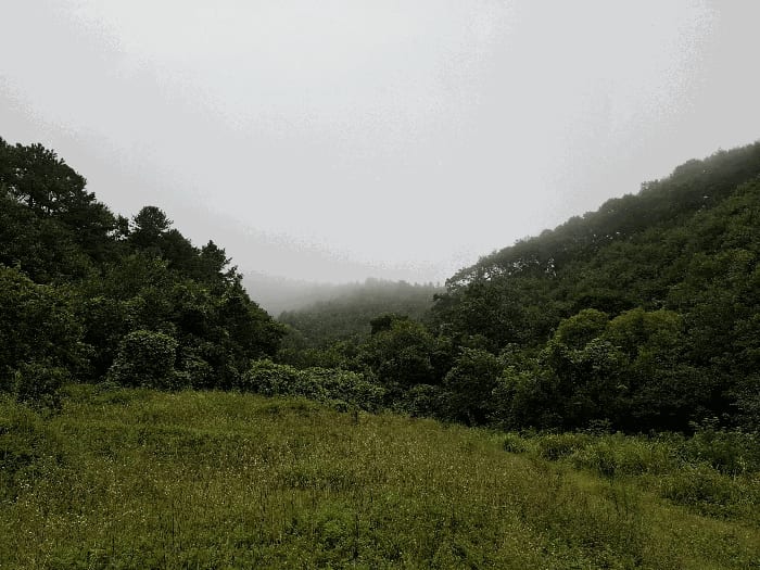 현장 사진 4