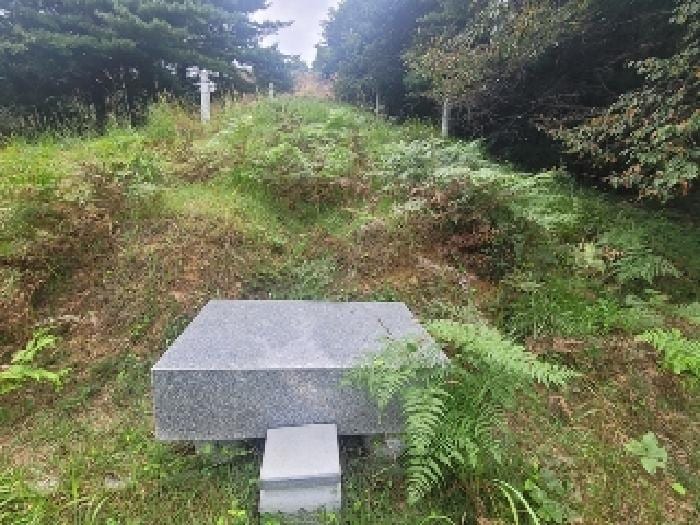 현장 사진 5