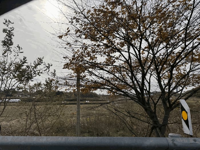현장 사진 6