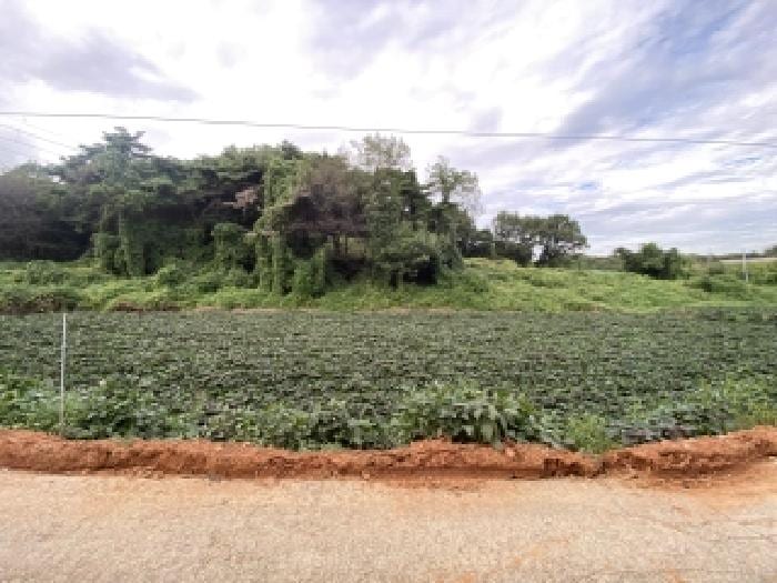 현장 사진 4
