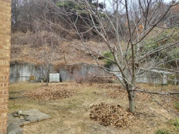 현장 사진 6
