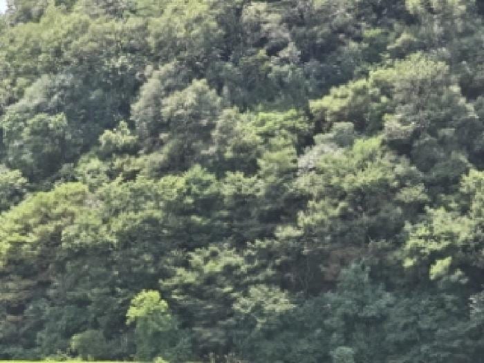 현장 사진 3