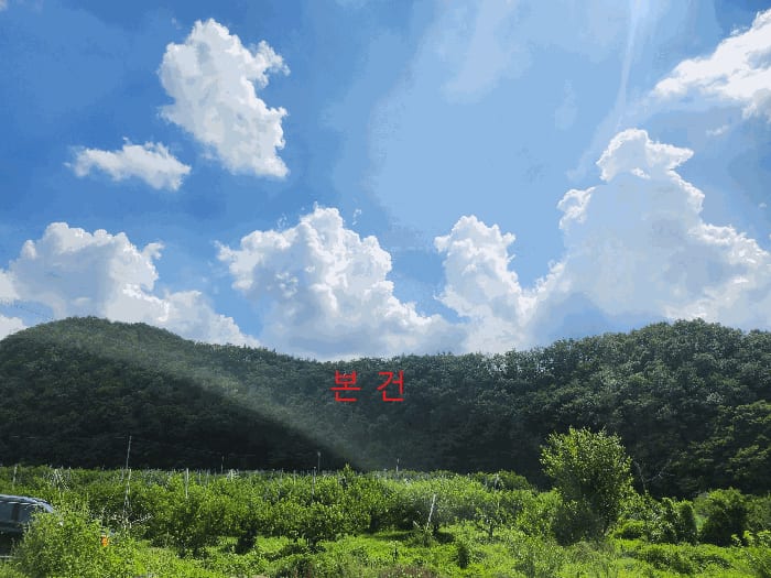 현장 사진 6