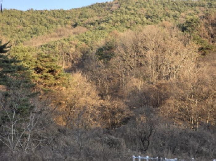 현장 사진 6