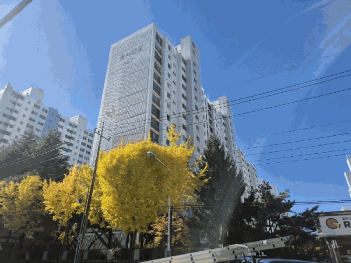 현장 사진 5
