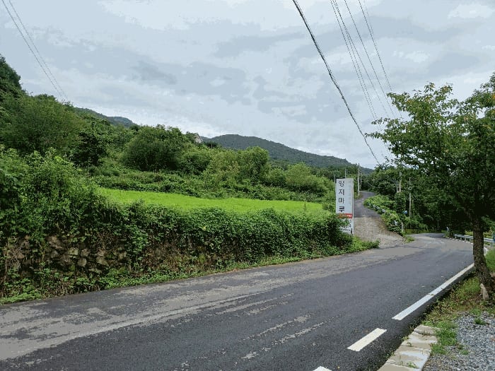 현장 사진 6