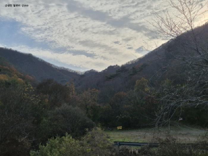 현장 사진 5