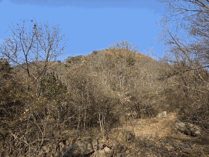 현장 사진 6