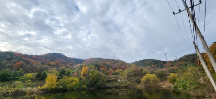 현장 사진 5