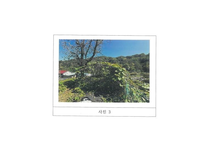 현장 사진 1