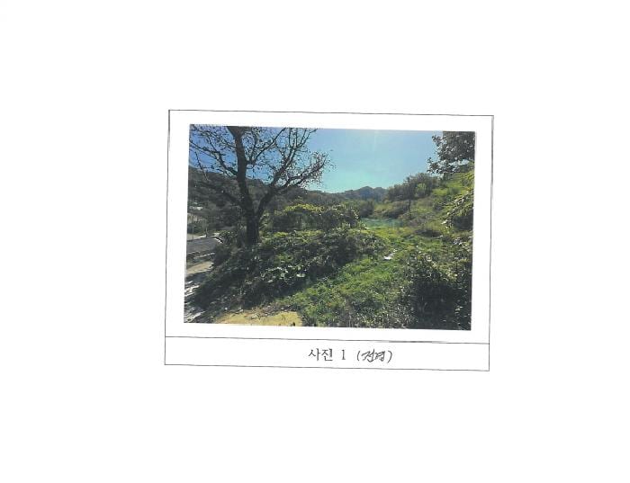 현장 사진 2