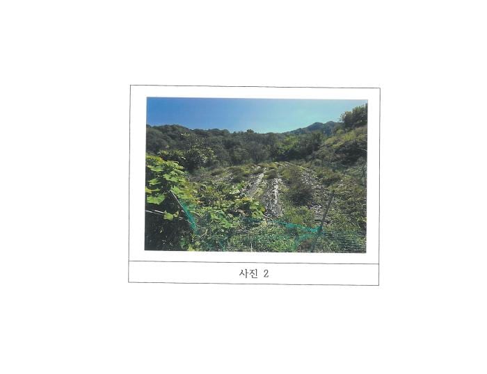 현장 사진 3