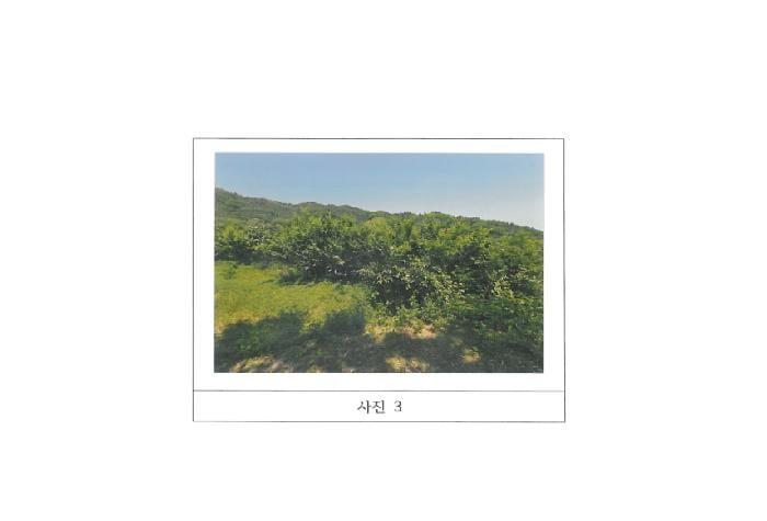 현장 사진 3
