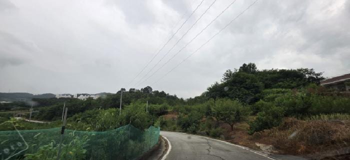 현장 사진 5