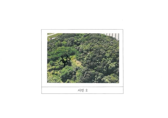 현장 사진 2