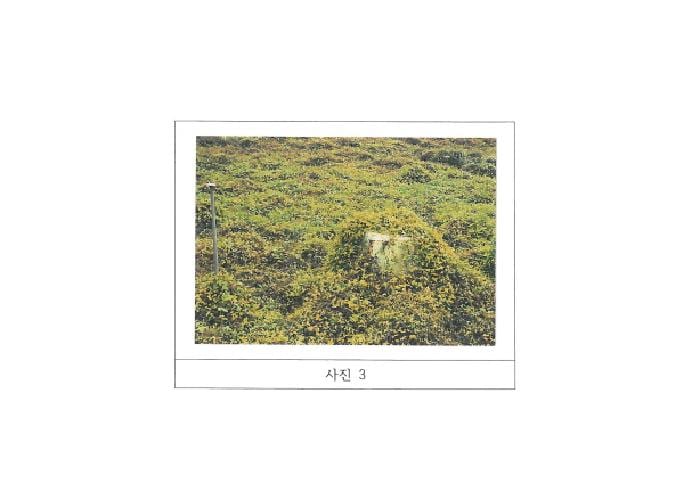 현장 사진 3