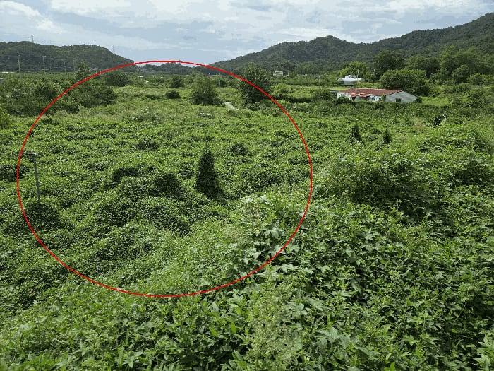 현장 사진 5