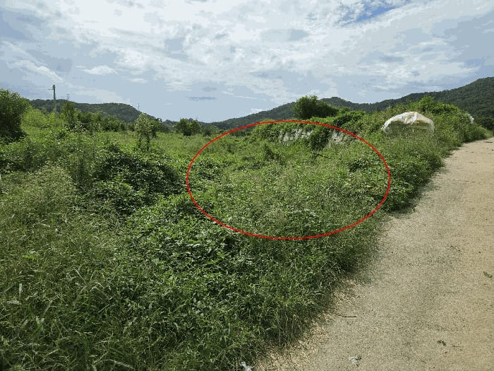 현장 사진 6