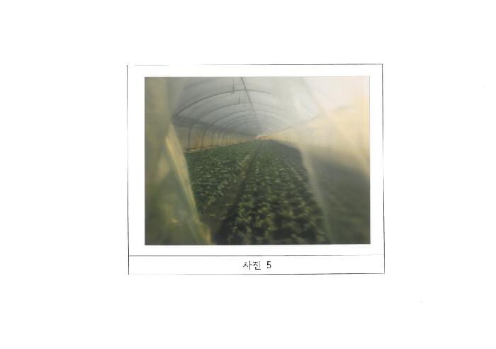 현장 사진 5