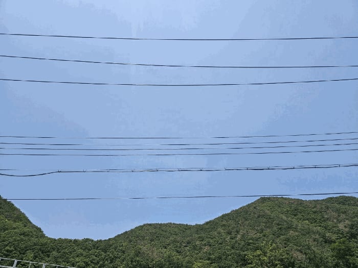현장 사진 4
