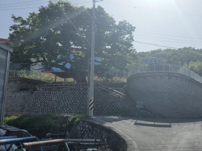 현장 사진 1