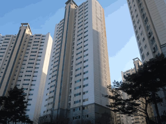 현장 사진 5