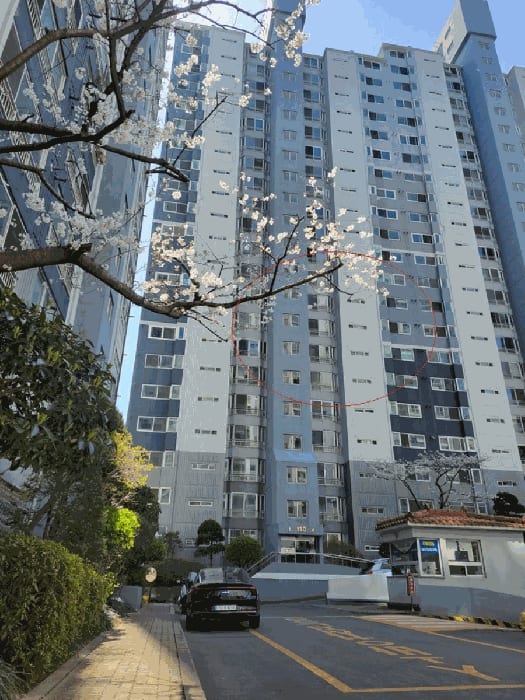 현장 사진 3