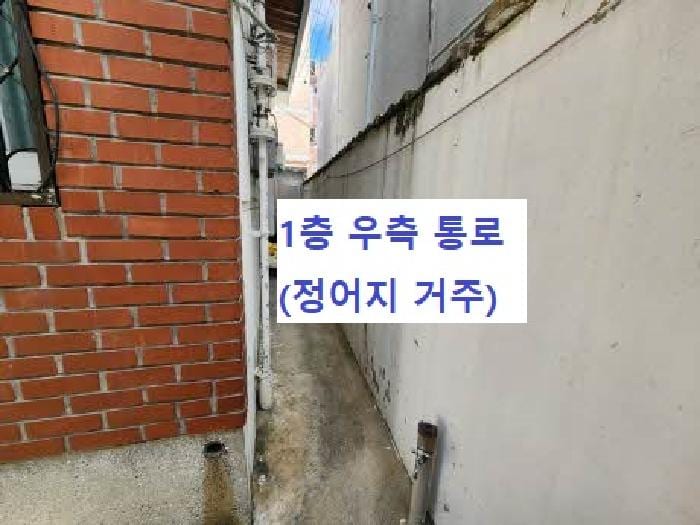 현장 사진 4